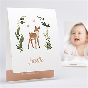Faire-part naissance tendre eveil