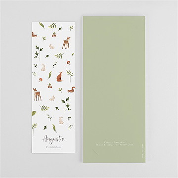 Faire-part naissance joyeux compères - Dos du faire-part