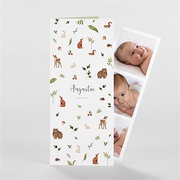 Faire-part naissance joyeux compères - Vue d'ensemble