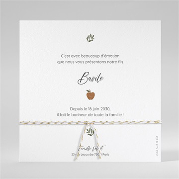 Faire-part naissance présentation ensemencé - Dos de la carte