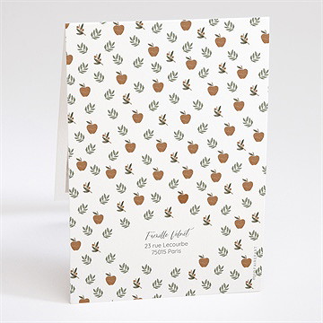 Faire-part naissance présentation pli décalé - Dos du faire-part