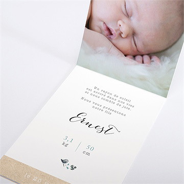 Faire-part naissance dans sa couronne pli décalé - Intérieur du faire-part