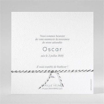 Faire-part naissance elégante symétrie ensemencé - dos de la carte