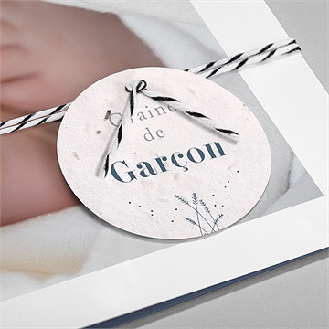 Faire-part naissance le voici ensemencé - Détail du faire-part