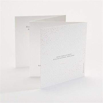 Faire-part naissance tendre lapin accordéon - Dos du faire-part