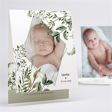 Faire-part naissance nid d'aquarelle pli décalé