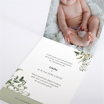 Faire-part naissance nid d'aquarelle pli décalé - Intérieur du faire-part