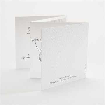 Faire-part naissance mon petit pola accordéon - Dos du faire-part