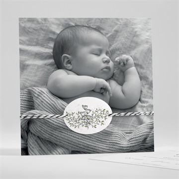 Carte ensemencée - carré