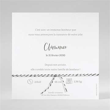 Faire-part naissance mes petits pictos ensemencée - Dos de la carte