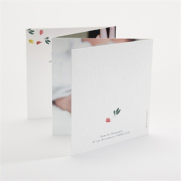 Faire-part naissance petit roi accordéon - Dos du faire-part