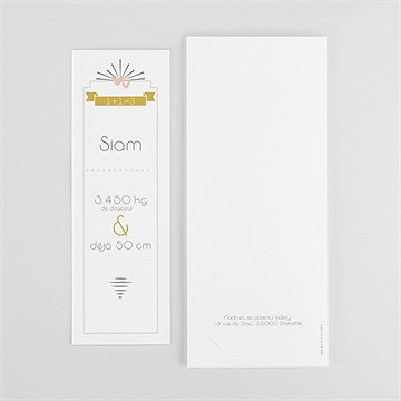 Faire-part naissance cascade de photos photomaton - Dos du faire-part