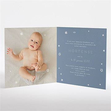 Faire-part naissance compagnons polaires carré plié - Intérieur du faire-part