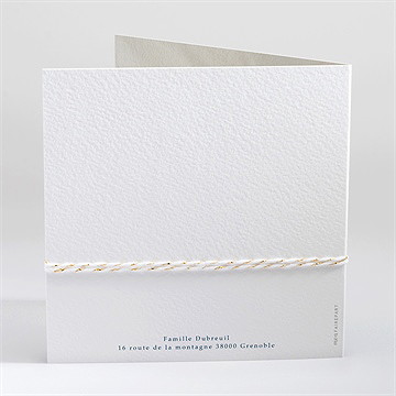 Faire-part naissance compagnons polaires carré plié - Dos du faire-part