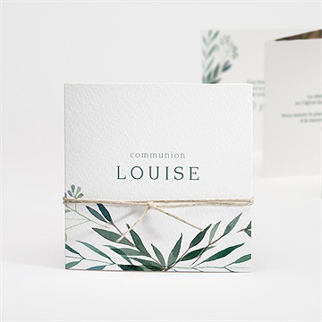 Faire-part communion touche champêtre accordéon