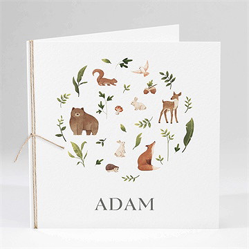 Faire-part naissance compères carré plié