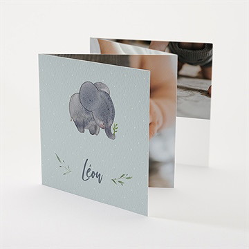 Faire-part naissance chouchou accordéon