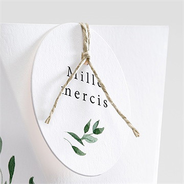 Boîte de dragées mariage a l'ombre de l'olivier étui - Détail de la boîte