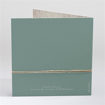 Faire-part naissance petit tigrou carte plié - Dos du faire-part