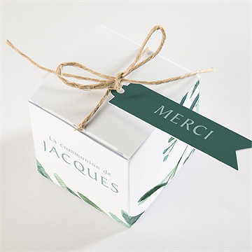 Boîte de dragées communion végétal - Dessus de la boîte