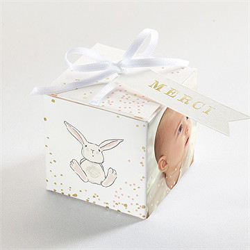 Boîte de dragées baptême petit lapin baptême dorure