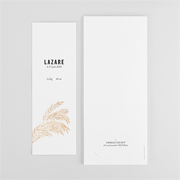 Faire-part naissance belle alcôve photomaton - Dos du faire-part