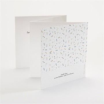 Faire-part naissance petit chouchou accordéon - Dos du faire-part