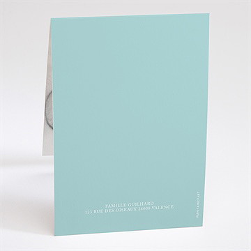 Faire-part naissance notre petit prince pli décalé - Dos du faire-part