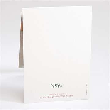 Faire-part naissance jolie pampa pli décalé - Dos du faire-part