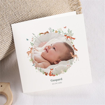 Faire-part naissance gaiement