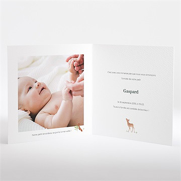 Faire-part naissance gaiement - Intérieur du faire-part
