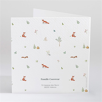 Faire-part naissance gaiement - Dos du faire-part