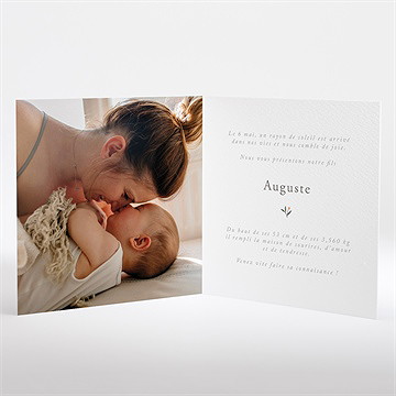 Faire-part naissance petits compères plié - Intérieur du faire-part