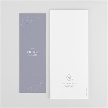 Faire-part naissance mon petit lapin photomaton - Dos du faire-part