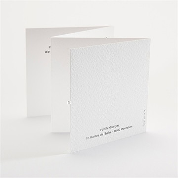 Faire-part naissance horizon accordéon - Dos du faire-part