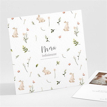 Remerciement naissance champetre