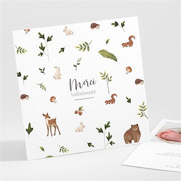 Remerciement naissance joyeux compères