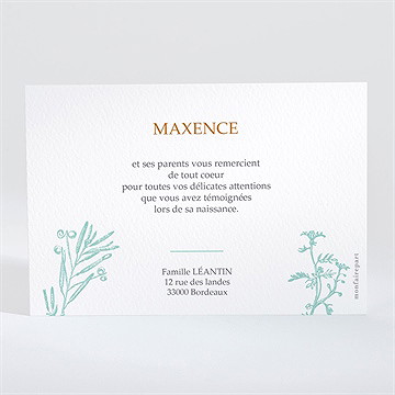 Remerciement naissance tradition - Dos de la carte