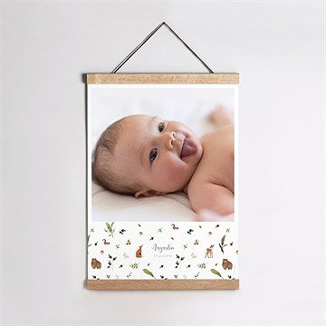 Affiche naissance joyeux compères