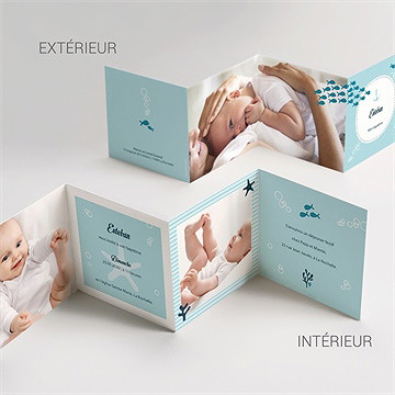 Faire-part de baptême les petits poissons - Vue d'ensemble