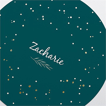 Faire-part naissance flocons délicats rond - Détail du faire-part