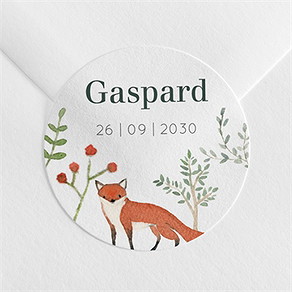 Sticker naissance gaiement