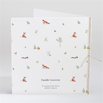 Faire-part naissance jumeaux & animaux - Dos du faire-part
