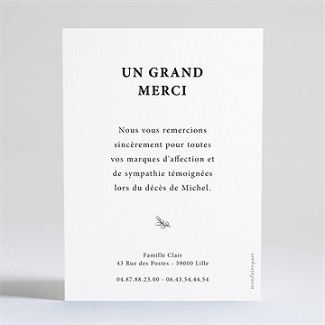 Remerciement décès son roman dorure argent - Dos de la carte