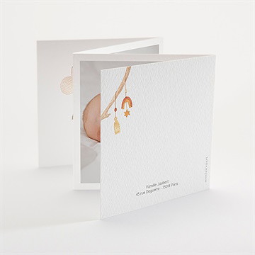 Faire-part naissance mon lion en peluche - Dos du faire-part