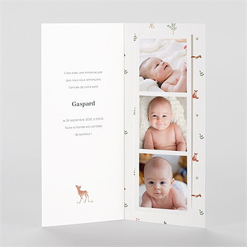 Faire-part naissance gaiement photomaton - Intérieur du faire-part