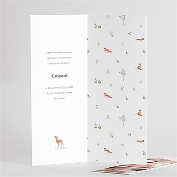 Faire-part naissance gaiement photomaton - Intérieur du faire-part 2