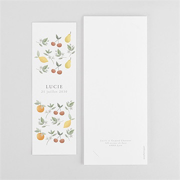 Faire-part naissance poésie d'eté photomaton - Dos du faire-part