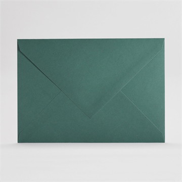 Enveloppe verte rectangle (c5)