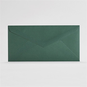 Enveloppe verte standard (dl)